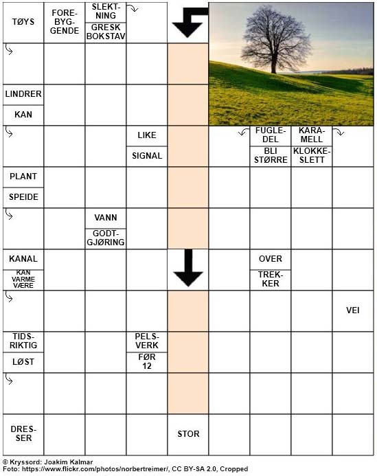 Dagens kryssord – 14. Februar – 2019