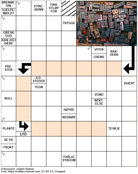 Dagens kryssord – 14. Januar – 2019