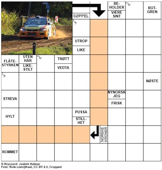 Dagens kryssord - 14. Juli - 2018