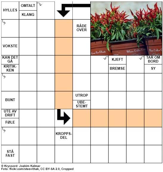 Dagens kryssord - 14. Juni - 2018
