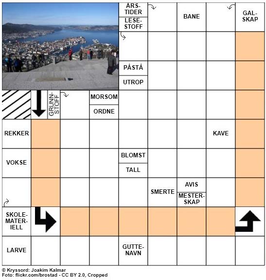 Dagens kryssord - 14. Mai - 2018