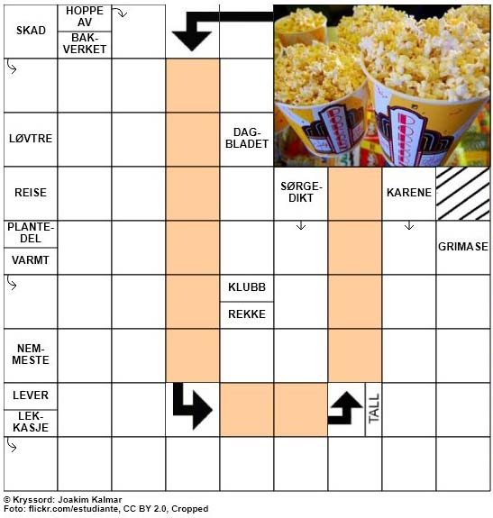 Dagens kryssord - 14. Mars - 2018