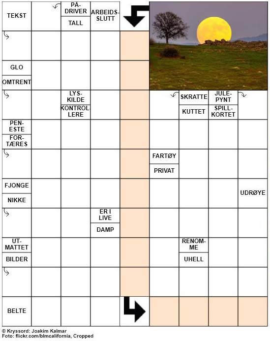 Dagens kryssord – 14. November – 2018