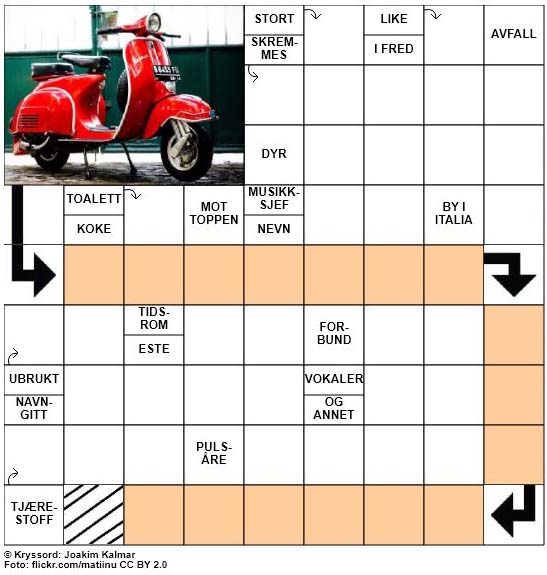 Dagens kryssord - 14. Oktober - 2017