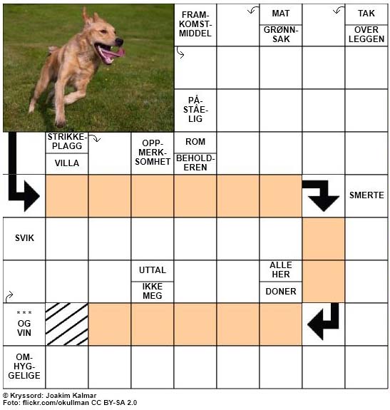 Dagens kryssord - 14. September - 2017