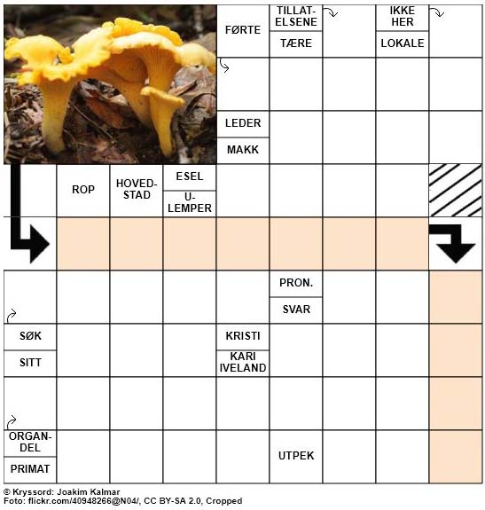 Dagens kryssord - 14. September - 2018