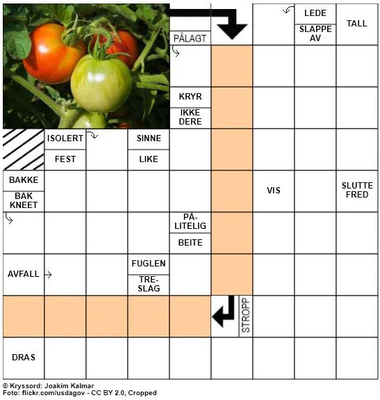 Dagens kryssord - 15. April - 2018