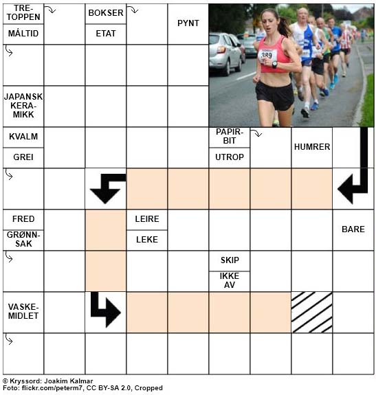 Dagens kryssord - 15. August - 2018