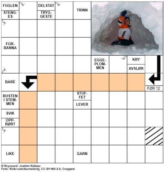 Dagens kryssord - 15. Februar - 2018