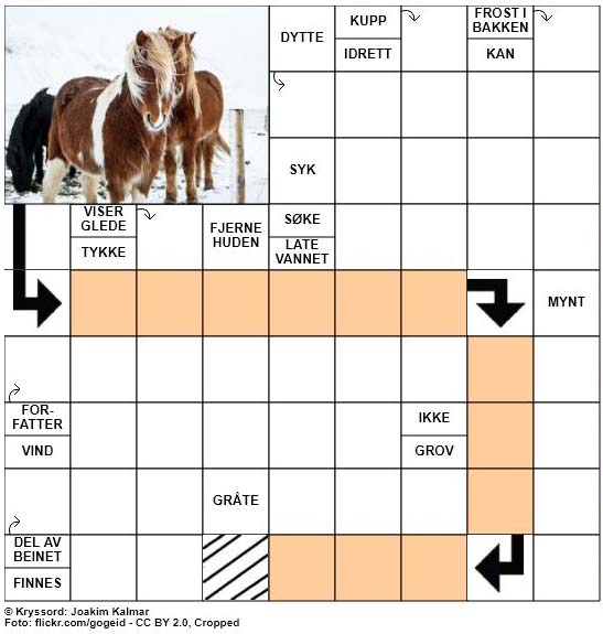 Dagens kryssord - 15. Januar - 2018