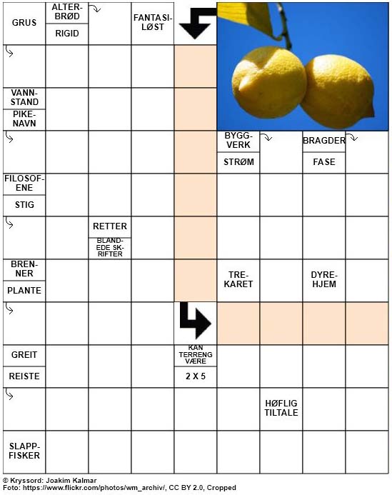 Dagens kryssord – 15. Januar – 2019