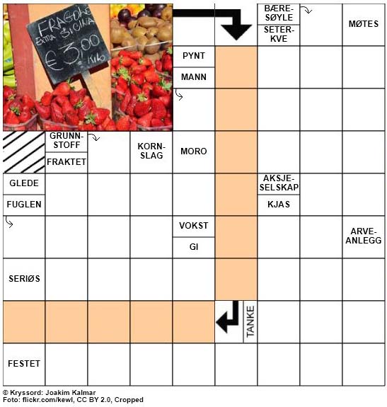 Dagens kryssord - 15. Juli - 2018