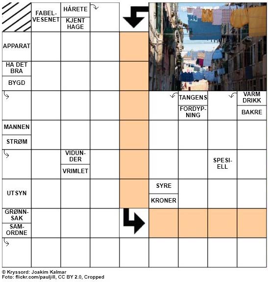 Dagens kryssord - 15. Juni - 2018