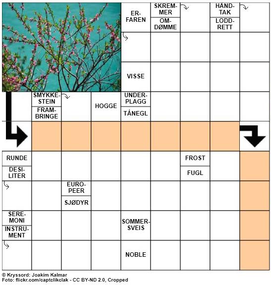 Dagens kryssord - 15. Mai - 2018