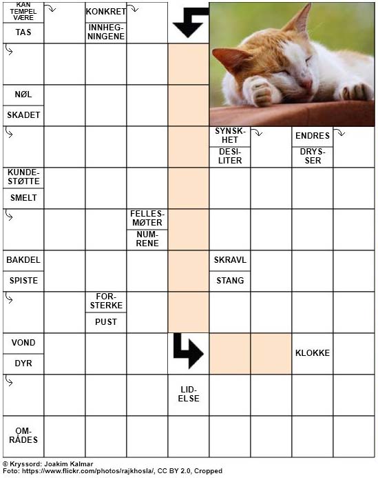 Dagens kryssord – 15. Mars – 2019