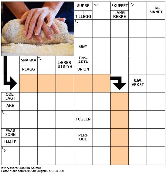 Dagens kryssord - 15. Oktober - 2017