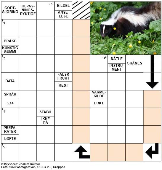 Dagens kryssord – 15. Oktober – 2018