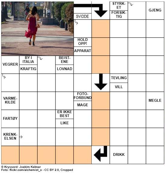 Dagens kryssord - 16. April - 2018