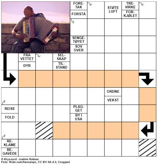 Dagens kryssord - 16. Februar - 2018