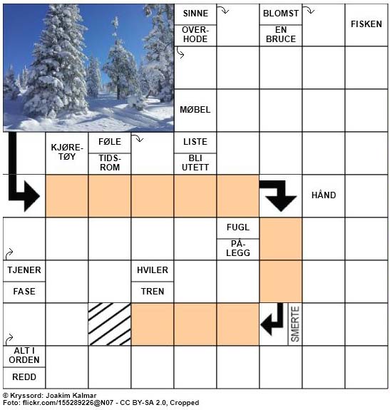 Dagens kryssord - 16. Januar - 2018