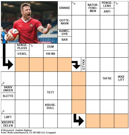 Dagens kryssord - 16. Juni - 2018