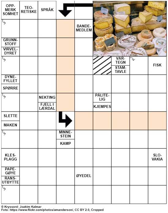 Dagens kryssord – 16. Mars – 2019