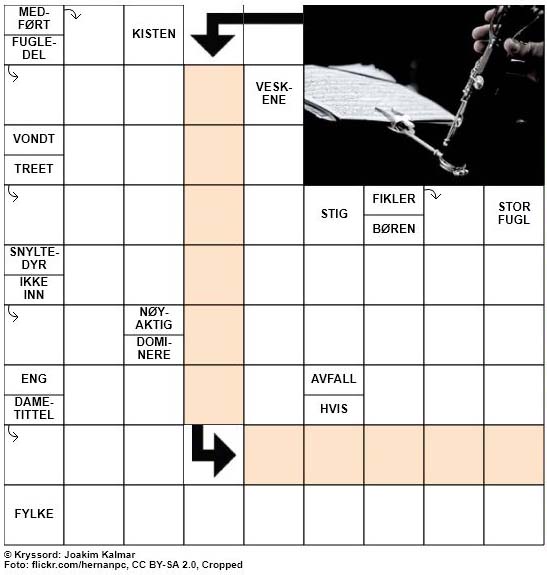 Dagens kryssord – 16. Oktober – 2018