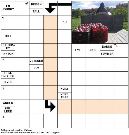 Dagens kryssord - 17. August - 2018