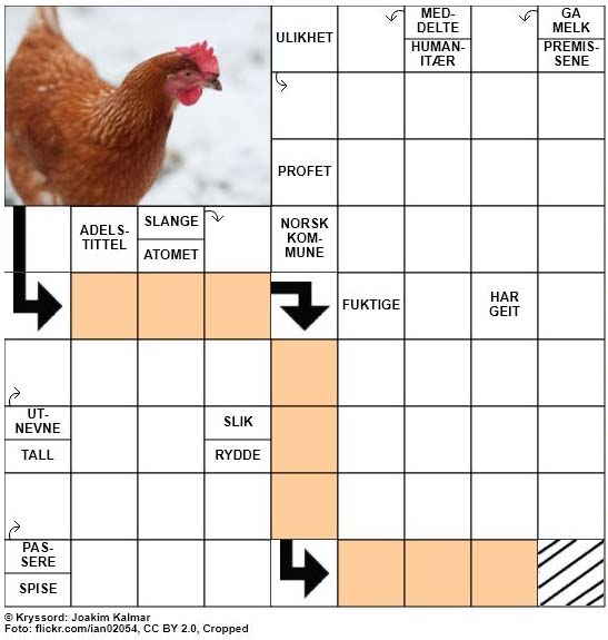 Dagens kryssord - 17. Februar - 2018