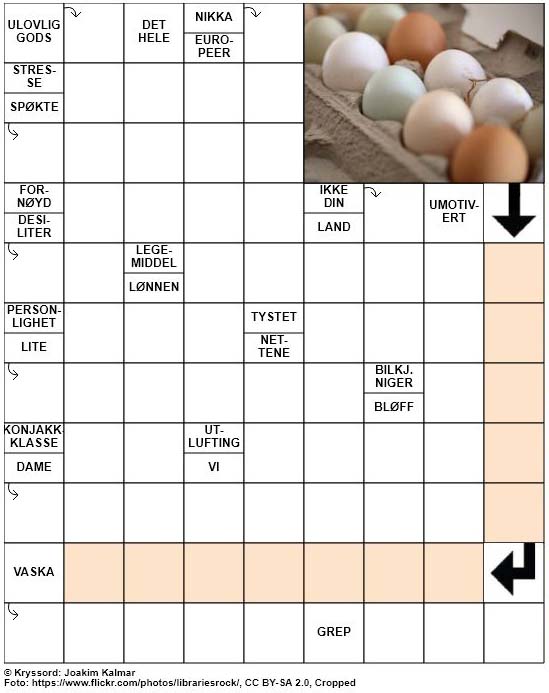 Dagens kryssord – 17. Februar – 2019