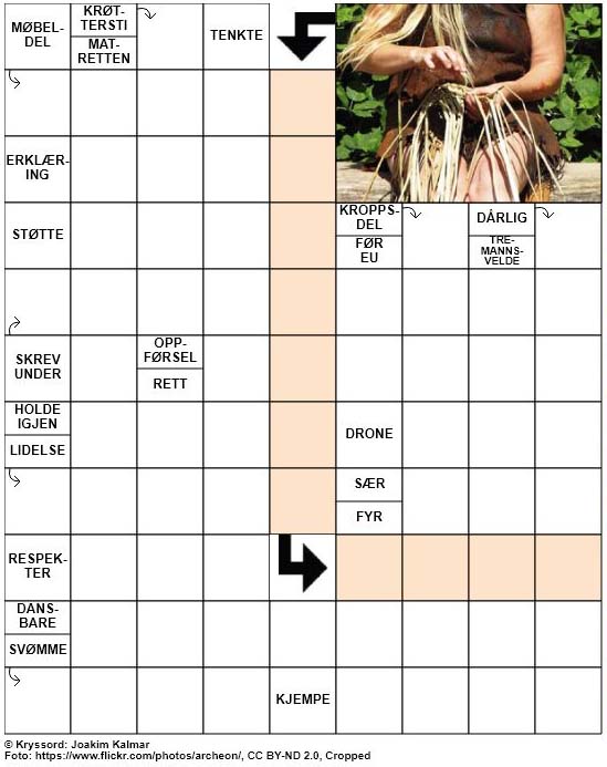 Dagens kryssord – 17. Januar – 2019