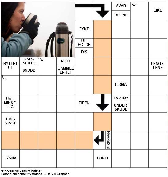 Dagens kryssord - 17. November - 2017