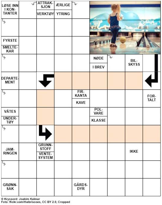 Dagens kryssord – 17. November – 2018