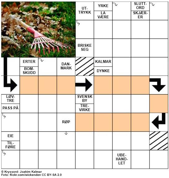 Dagens kryssord - 17. Oktober - 2017