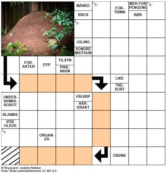 Dagens kryssord - 17. September - 2017