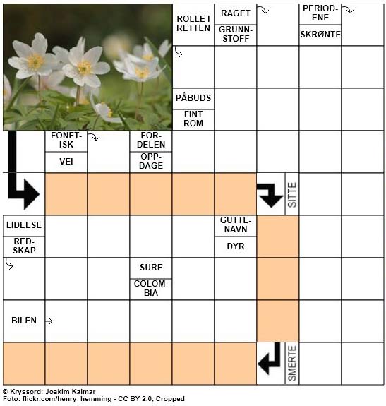 Dagens kryssord - 18. April - 2018