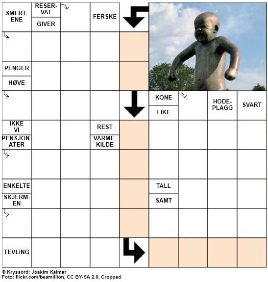 Dagens kryssord - 18. August - 2018