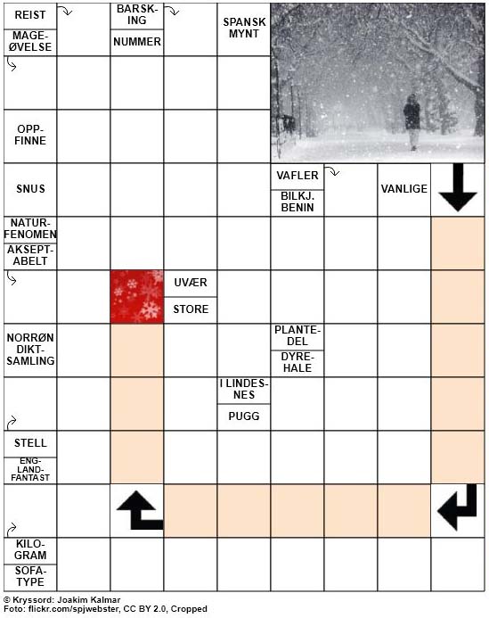 Dagens kryssord – 18. Desember – 2018