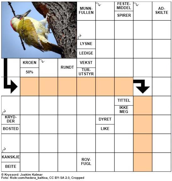Dagens kryssord - 18. Februar - 2018