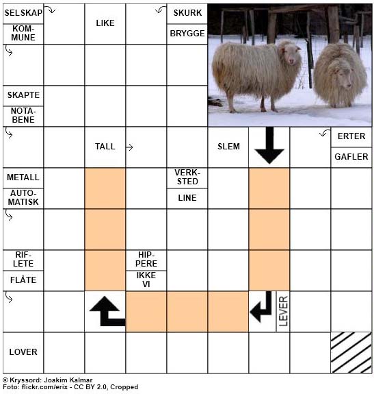 Dagens kryssord - 18. Januar - 2018