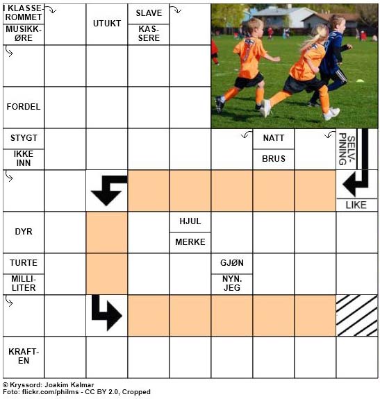 Dagens kryssord - 18. Mai - 2018