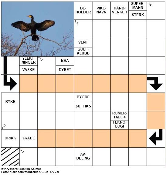 Dagens kryssord - 18. Oktober - 2017