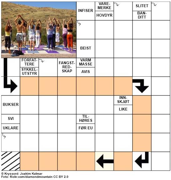 Dagens kryssord - 18. September - 2017