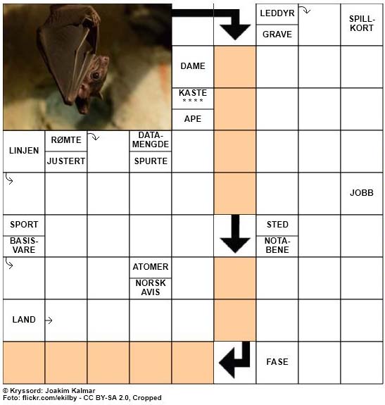 Dagens kryssord - 19. April - 2018