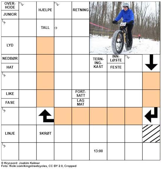 Dagens kryssord - 19. Februar - 2018