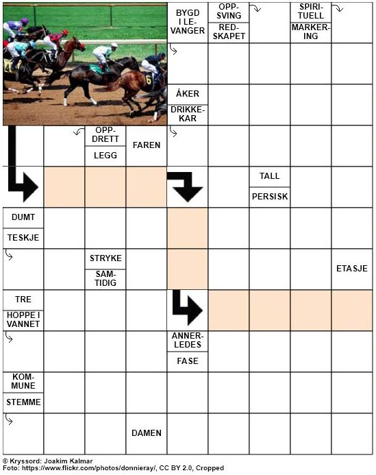 Dagens kryssord – 19. Februar – 2019