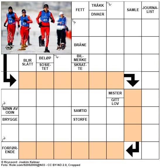 Dagens kryssord - 19. Januar - 2018