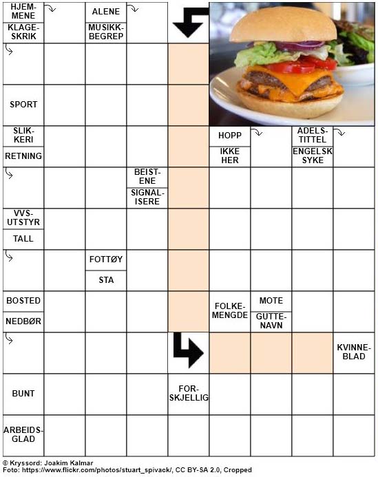 Dagens kryssord – 19. Januar – 2019