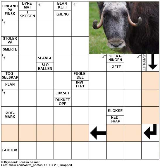 Dagens kryssord - 19. Juni - 2018