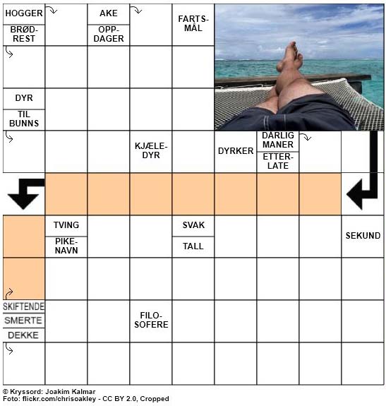 Dagens kryssord - 19. Mai - 2018